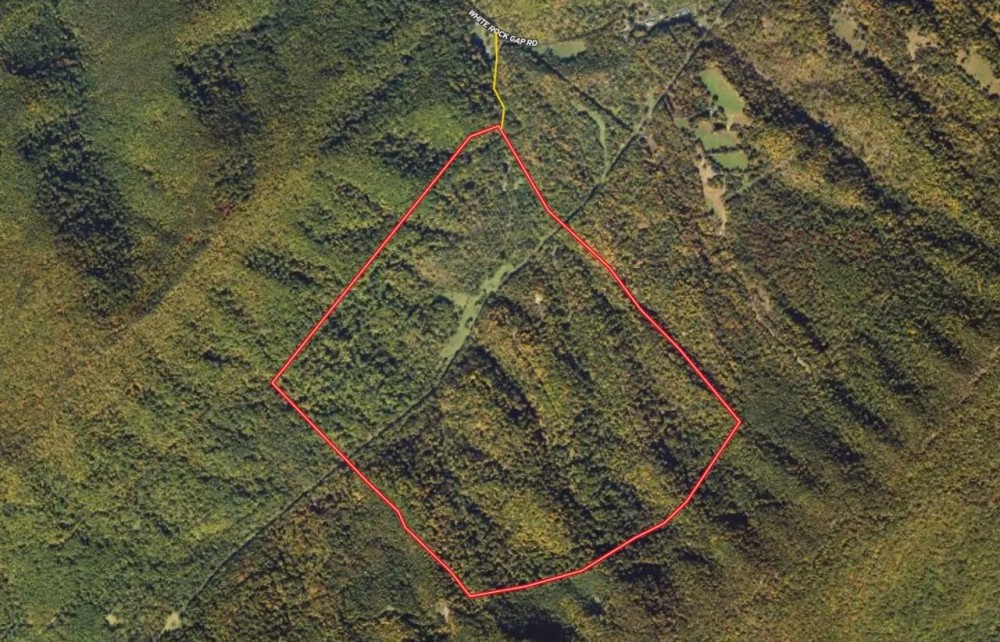 302.9 Acres of Scenic Mountain Land For Sale in Alleghany County VA featured image