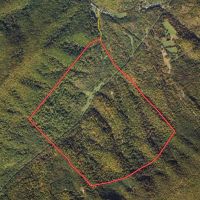 302.9 Acres of Scenic Mountain Land For Sale in Alleghany County VA