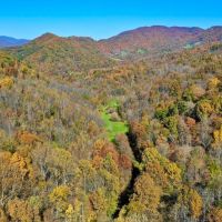 302.9 Acres of Scenic Mountain Land For Sale in Alleghany County VA images 2