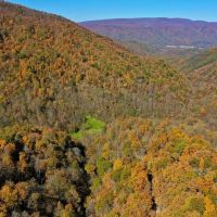 302.9 Acres of Scenic Mountain Land For Sale in Alleghany County VA images 3
