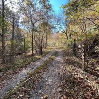302.9 Acres of Scenic Mountain Land For Sale in Alleghany County VA images 4