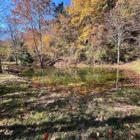 302.9 Acres of Scenic Mountain Land For Sale in Alleghany County VA images 5