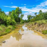 Gillespie County Pecan Creek Ranch NW of Fredericksburg images 3