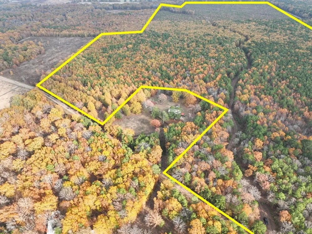 265 Acres CR 4223 Tract 1005 featured image