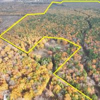 265 Acres CR 4223 Tract 1005