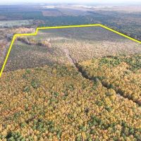 265 Acres CR 4223 Tract 1005 images 2