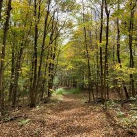 86 acre Riverfront Hunting Land Georgetown NY