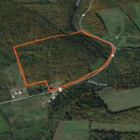 86 acre Riverfront Hunting Land Georgetown NY images 3