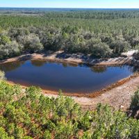 380 - Acre Timberland with a Pond for Sale in Camden County GA