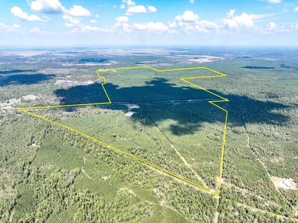 913 Acres FM 247 T-10 featured image