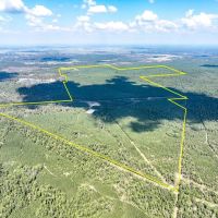 913 Acres FM 247 T-10