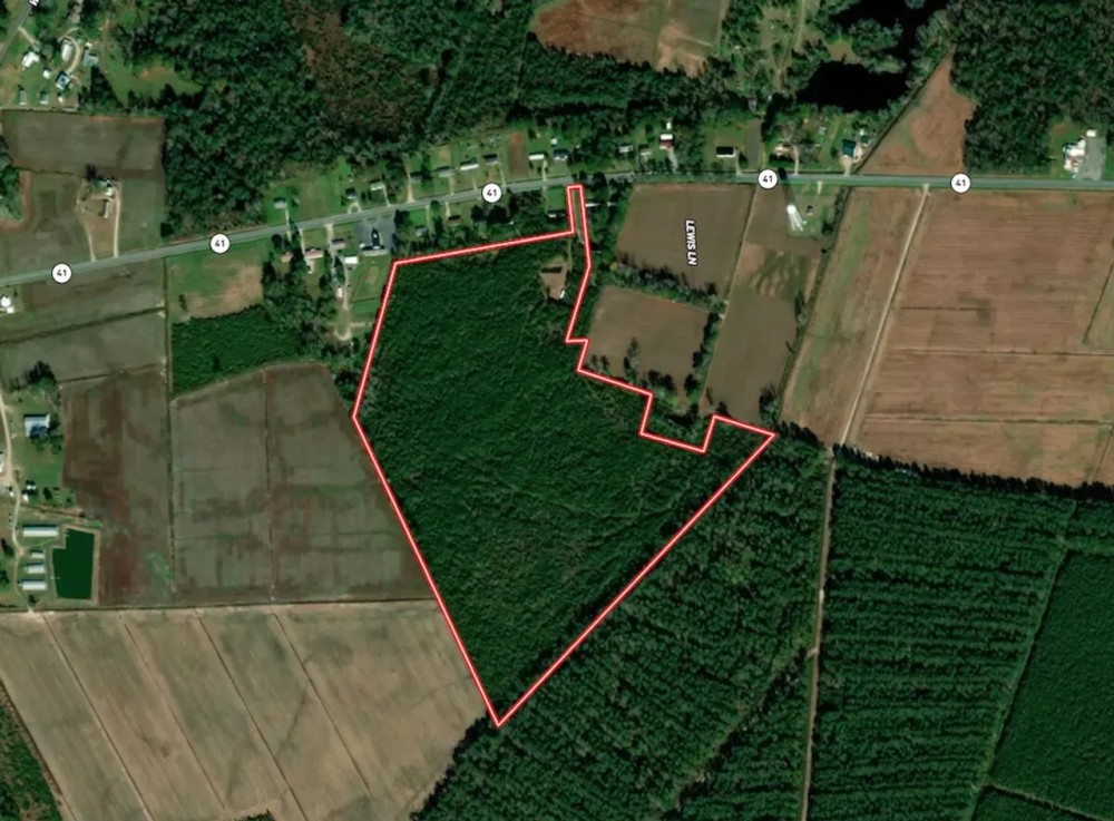 50.71 acres of Recreational and Residential Land For Sale in Jones County NC featured image