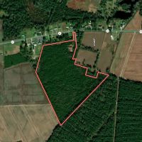 50.71 acres of Recreational and Residential Land For Sale in Jones County NC