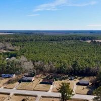 50.71 acres of Recreational and Residential Land For Sale in Jones County NC images 4