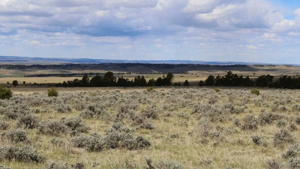 Perino Ranch featured image