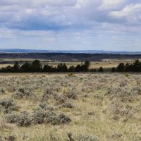 Perino Ranch