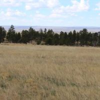 Perino Ranch images 5