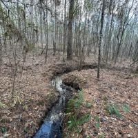 96.4 ac in Heard County images 2