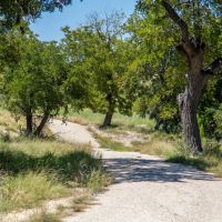 Lane Valley Ranch images 5