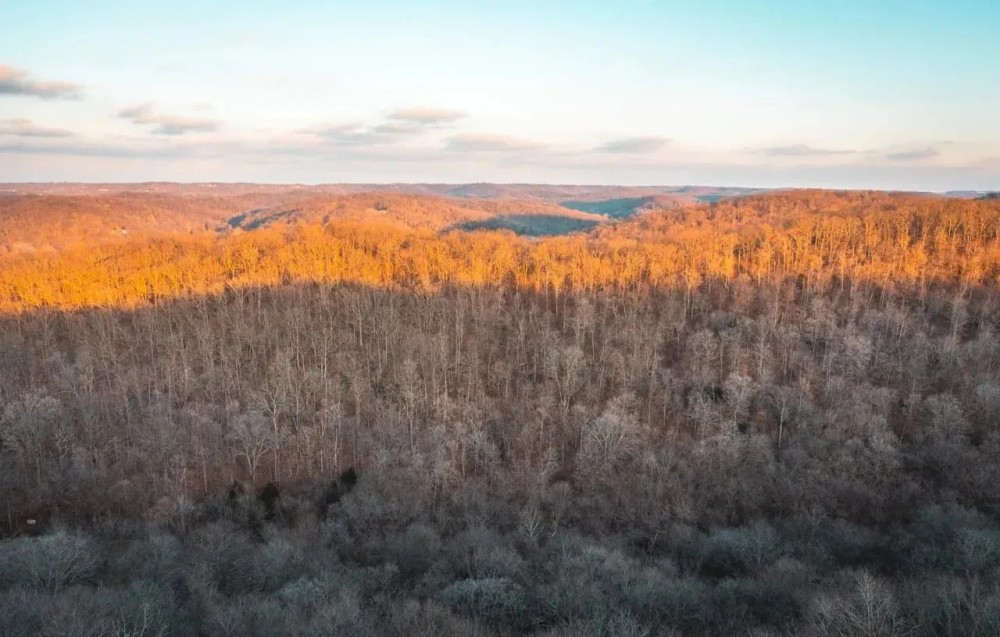 House Springs Hollow featured image