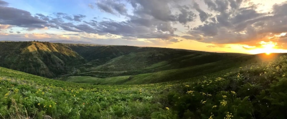 Two Canyons Ranch featured image