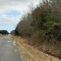 LA - Richland 119 acres - images 2