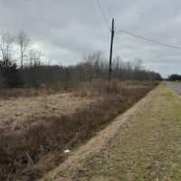 LA - Richland 119 acres - images 4