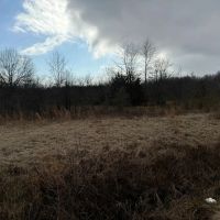 LA - Richland 119 acres - images 5