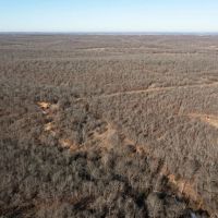 Creek County Ranch