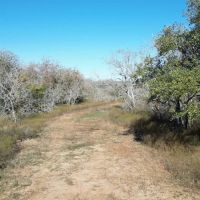 000 County Road 284 Gonzales Texas 78629 images 5