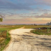 273 Acres 127 County Road 3527 Valley Mills TX images 4