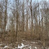 Land For Sale in Clay County IN 21 Acres - images 3