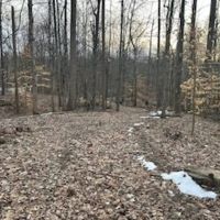 Land For Sale in Clay County IN 21 Acres - images 4