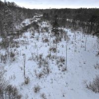 14 acres Hunting Land and Recreational Land with Creek in Darien Center NY Friedman Rd images 1