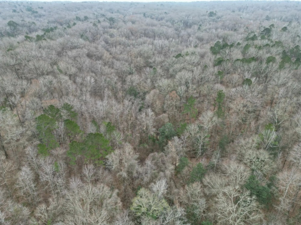 35.9 Acres in Adams County MS featured image