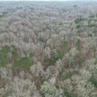 35.9 Acres in Adams County MS images 2