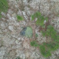 35.9 Acres in Adams County MS images 4