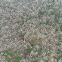 35.9 Acres in Adams County MS images 5
