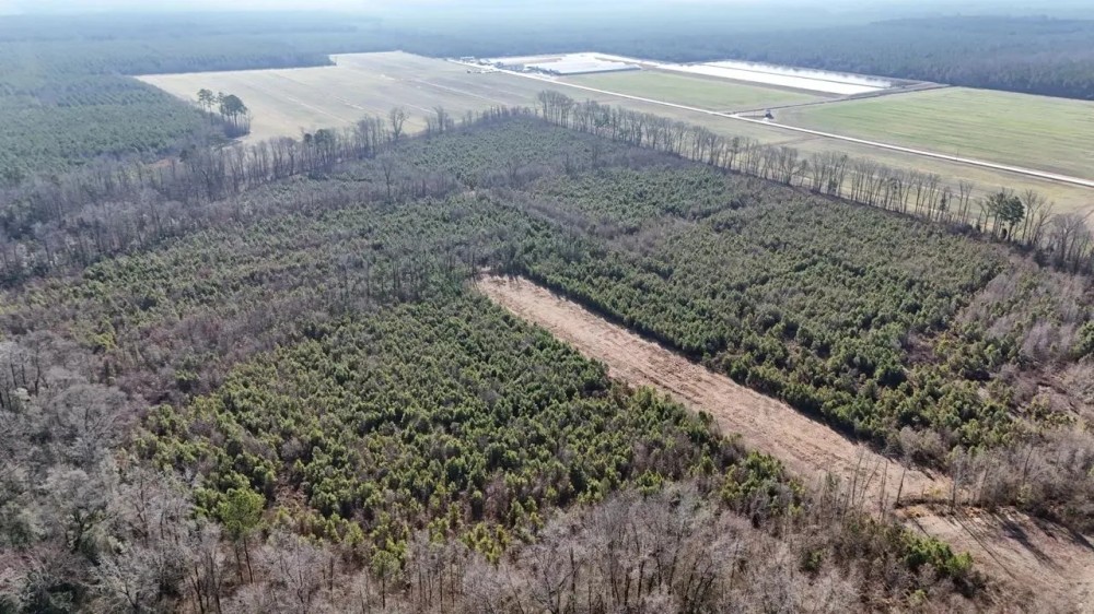 62-AC Hunting Investment Property - A Sportsman s Dream featured image