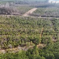 62-AC Hunting Investment Property - A Sportsman s Dream images 4