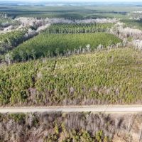 62-AC Hunting Investment Property - A Sportsman s Dream images 5