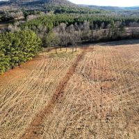 289.62 Acre Old Memphis Pike Farm images 3