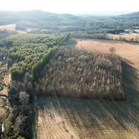 289.62 Acre Old Memphis Pike Farm images 4