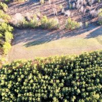 289.62 Acre Old Memphis Pike Farm images 5