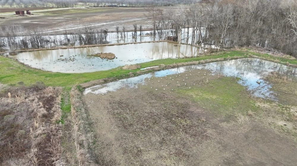 LA Delta Duck and Deer Hunting Property with a Camp featured image