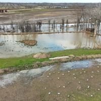 LA Delta Duck and Deer Hunting Property with a Camp images 2
