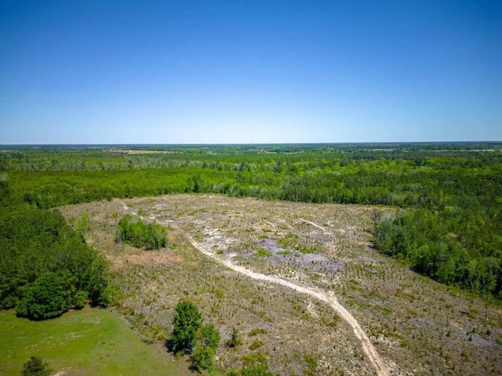 190 Acres of Pure Outdoor Paradise on Scuffle Town Road featured image
