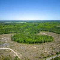 190 Acres of Pure Outdoor Paradise on Scuffle Town Road images 2