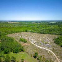 190 Acres of Pure Outdoor Paradise on Scuffle Town Road images 3