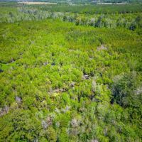 190 Acres of Pure Outdoor Paradise on Scuffle Town Road images 4